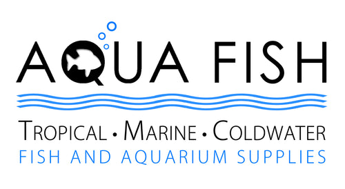 Aqua Fish